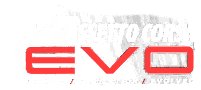 Banner image for Assetto Corsa EVO