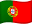 PT flag