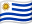 UY flag